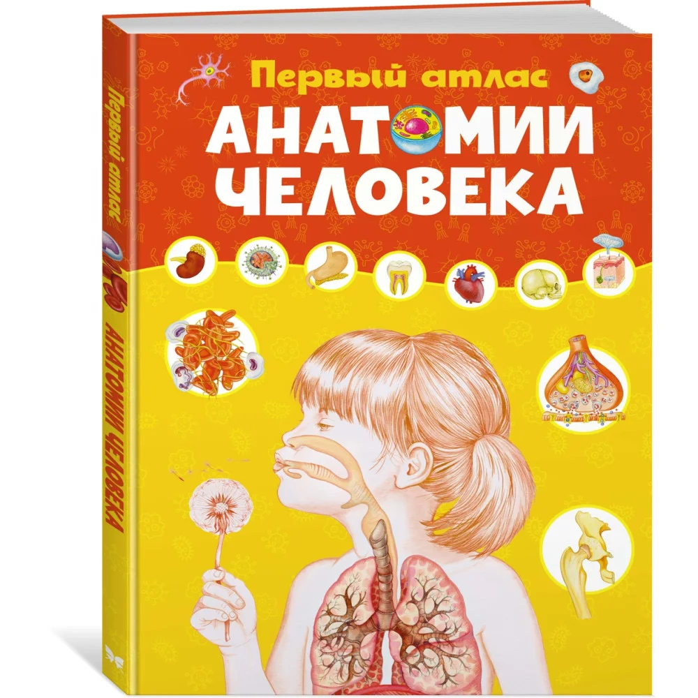 Первый атлас анатомии человека Первый атлас анатомии человека