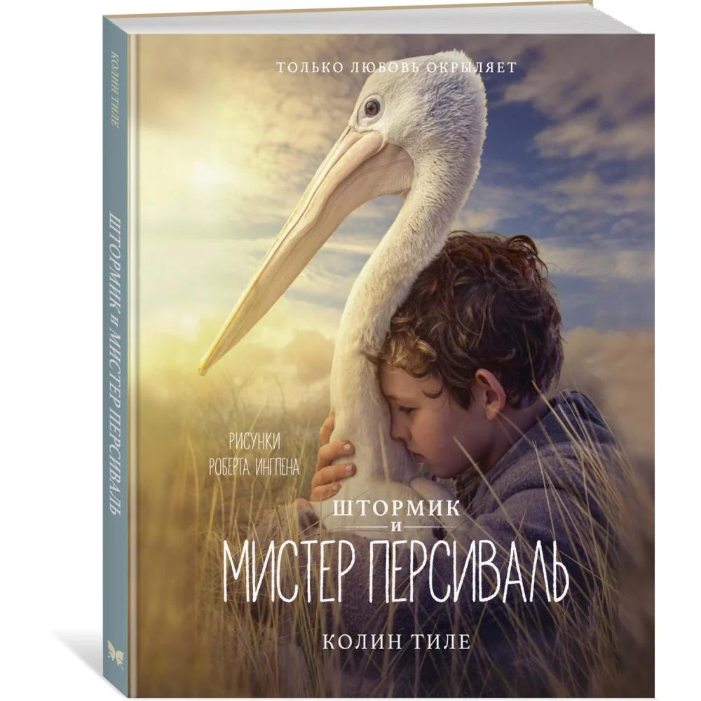 Штормик и мистер Персиваль Штормик и мистер Персиваль