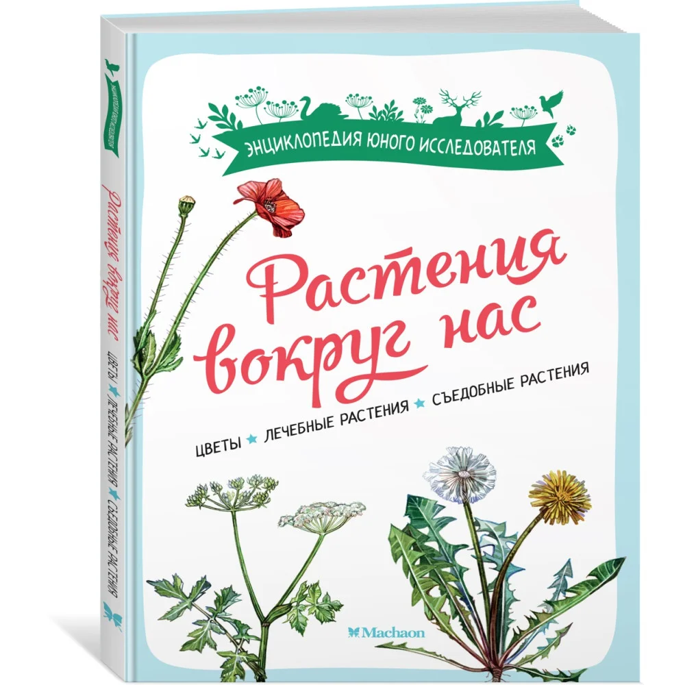 Растения вокруг нас Растения вокруг нас