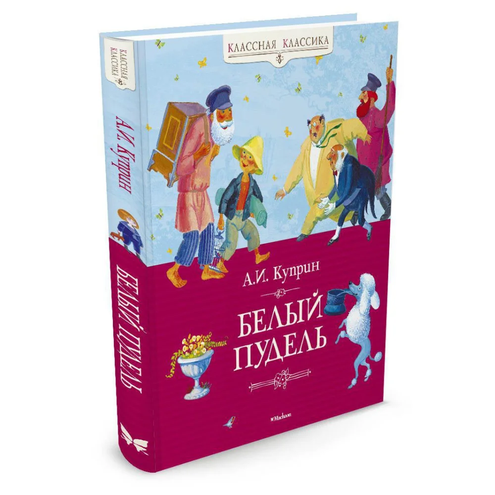 Белый пудель Белый пудель