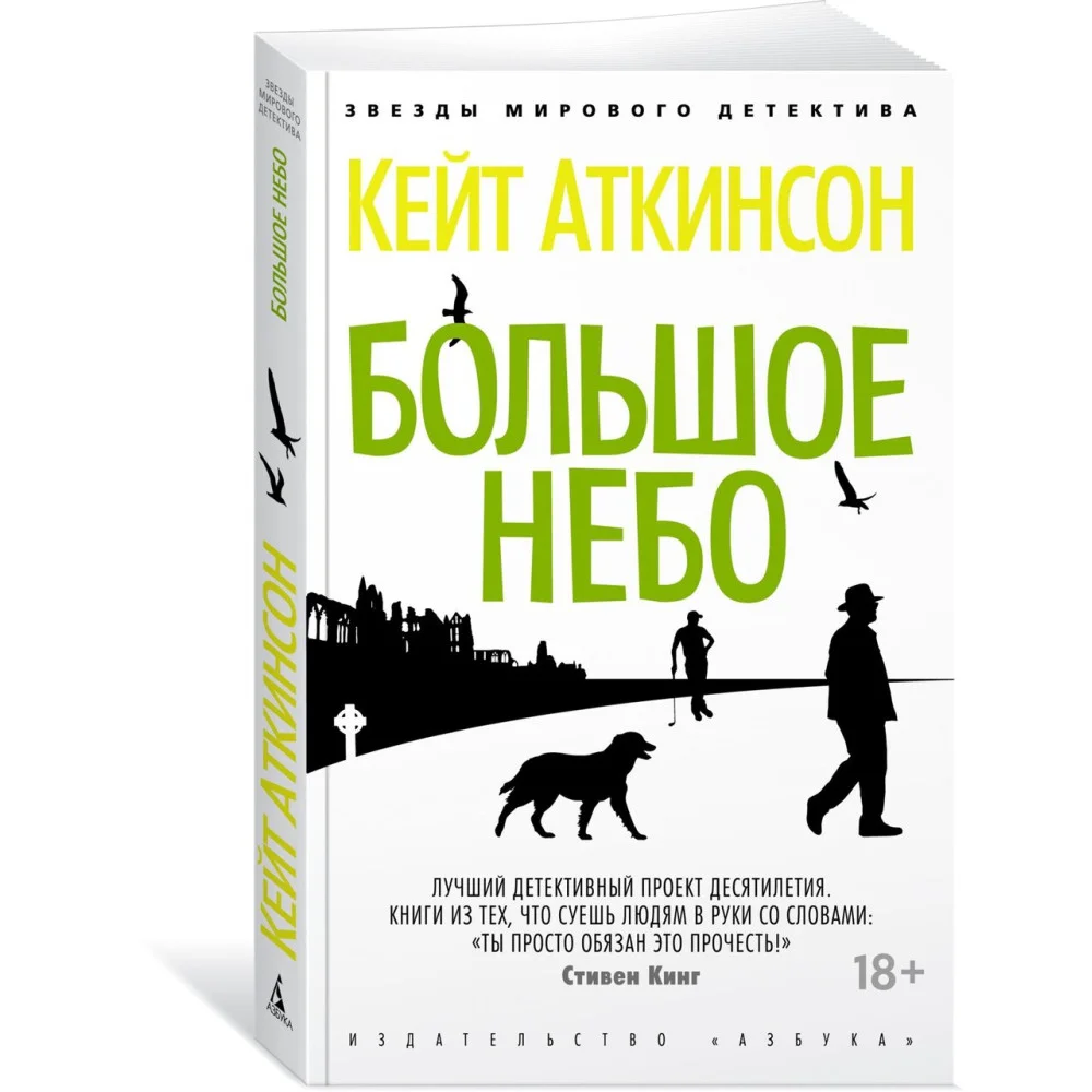 Большое небо Большое небо