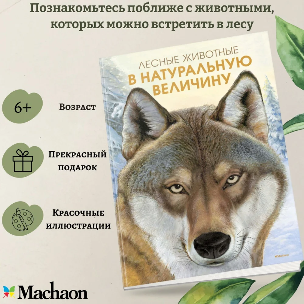 Лесные животные в натуральную величину Лесные животные в натуральную величину