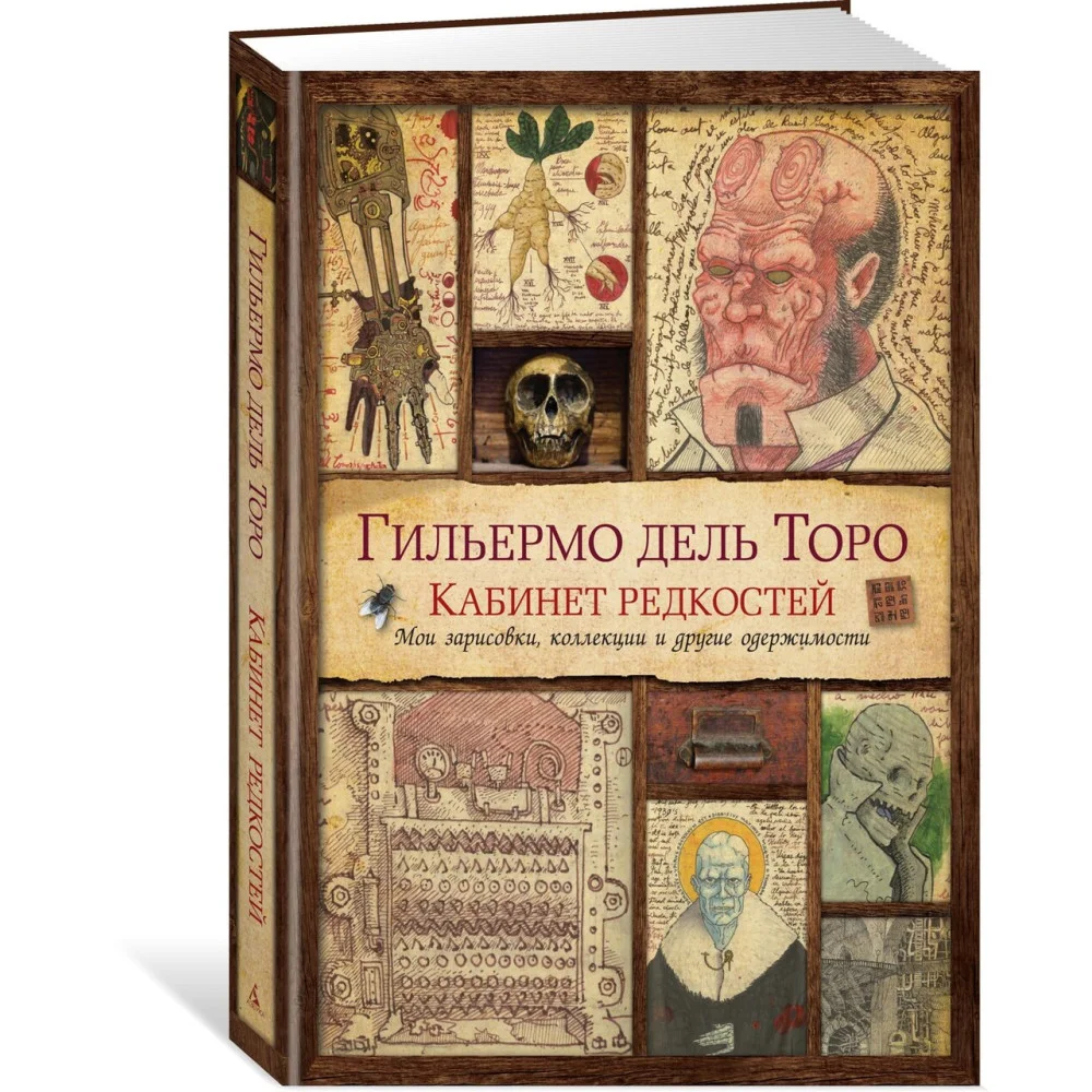 Кабинет редкостей. Мои зарисовки, коллекции и другие одержимости