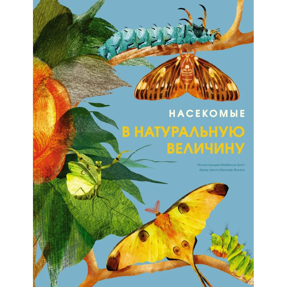 Насекомые в натуральную величину Насекомые в натуральную величину