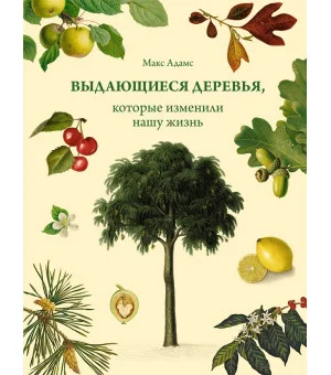 Выдающиеся деревья, которые изменили нашу жизнь