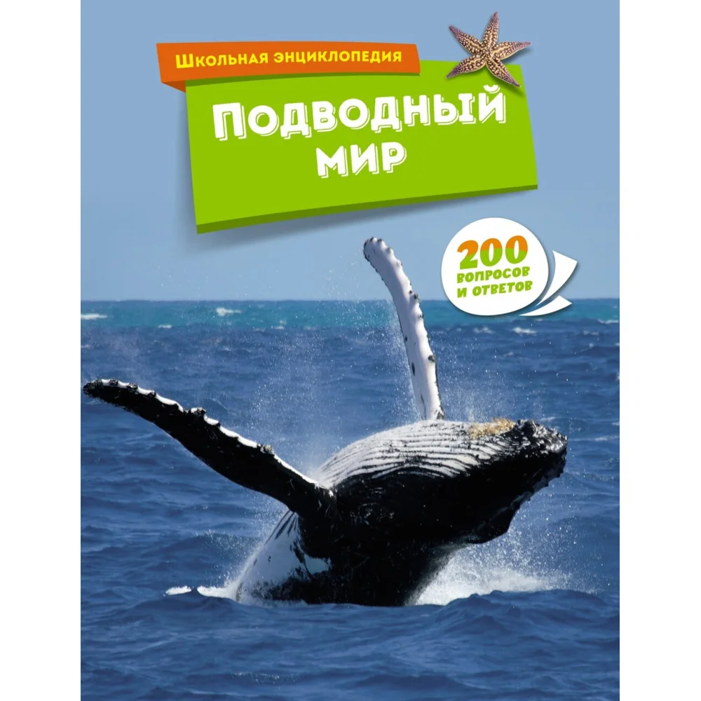 Подводный мир Подводный мир
