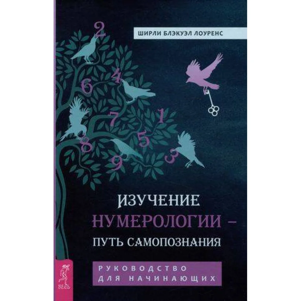 Изучение нумерологии — путь самопознания. Руководство для начинающих Изучение нумерологии — путь самопознания. Руководство для начинающих