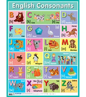 Английские согласные звуки = English Consonants