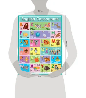 Английские согласные звуки = English Consonants