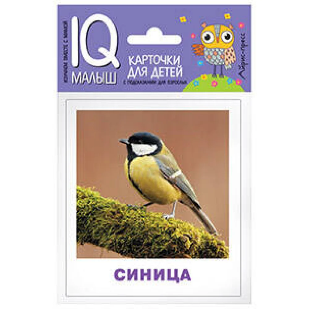 Умный малыш. Птицы Умный малыш. Птицы