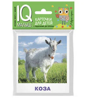 Умный малыш. Домашние животные