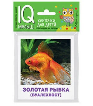 Умный малыш. Аквариумные рыбы. Набор карточек для детей.