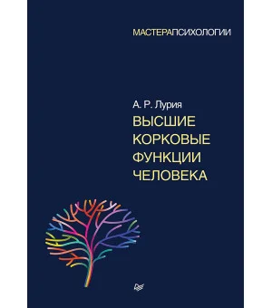 Высшие корковые функции человека