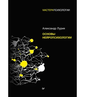 Основы нейропсихологии
