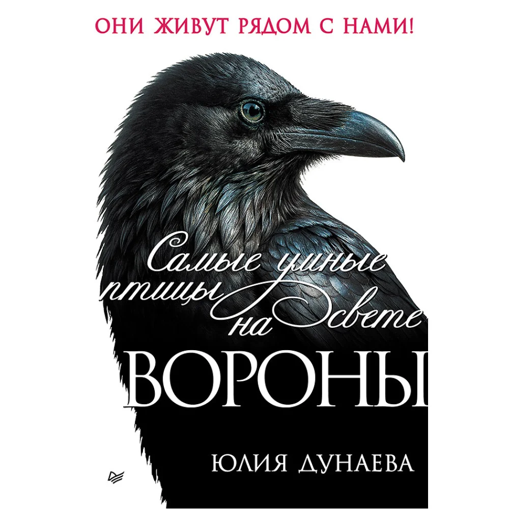 Самые умные птицы на свете. Вороны