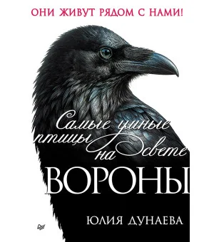 Самые умные птицы на свете. Вороны