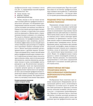 Память. Упражнения и задания по японской системе развития мозга. Выпуск 7