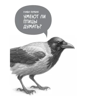 Самые умные птицы на свете. Вороны