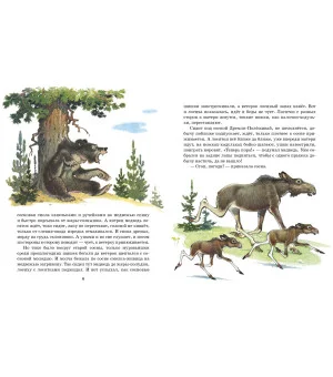 Как сосна лосяток спасала Как сосна лосяток спасала