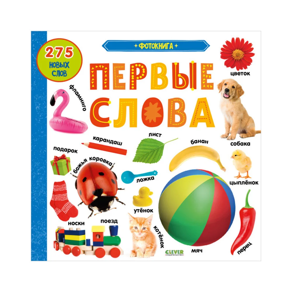 Книжки-картонки. Фотокнига. Первые слова Книжки-картонки. Фотокнига. Первые слова