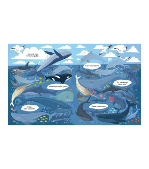 Найди и покажи. Океаны и моря