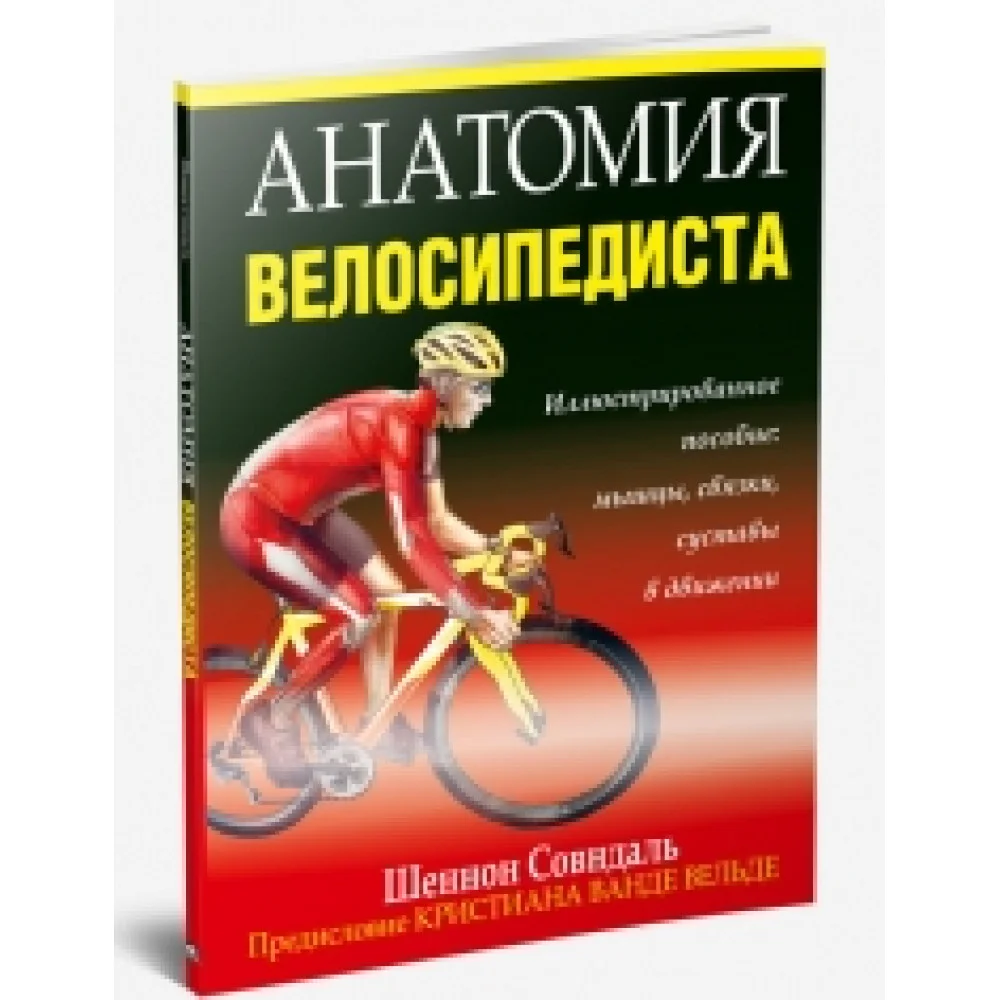 Анатомия велосипедиста Анатомия велосипедиста