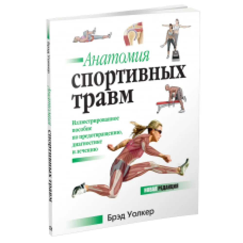 Анатомия спортивных травм Анатомия спортивных травм