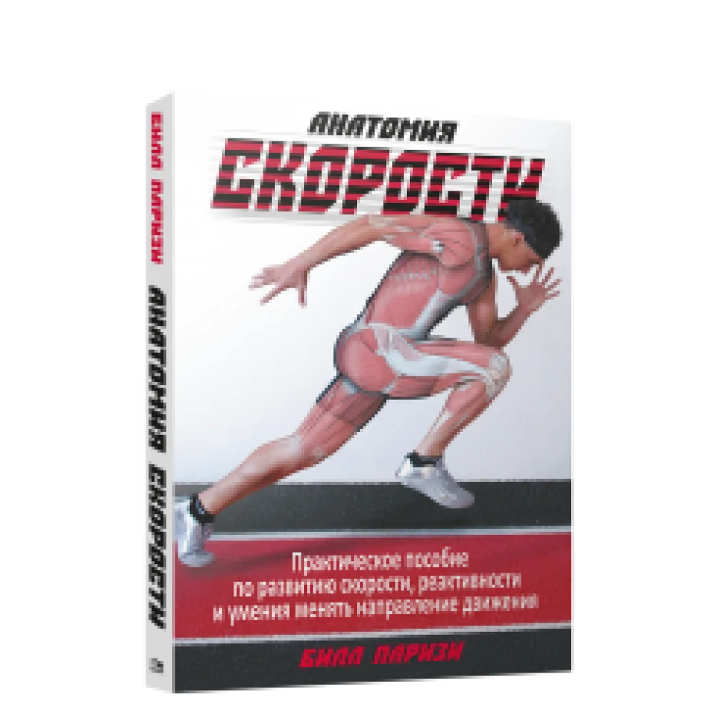 Анатомия скорости Анатомия скорости