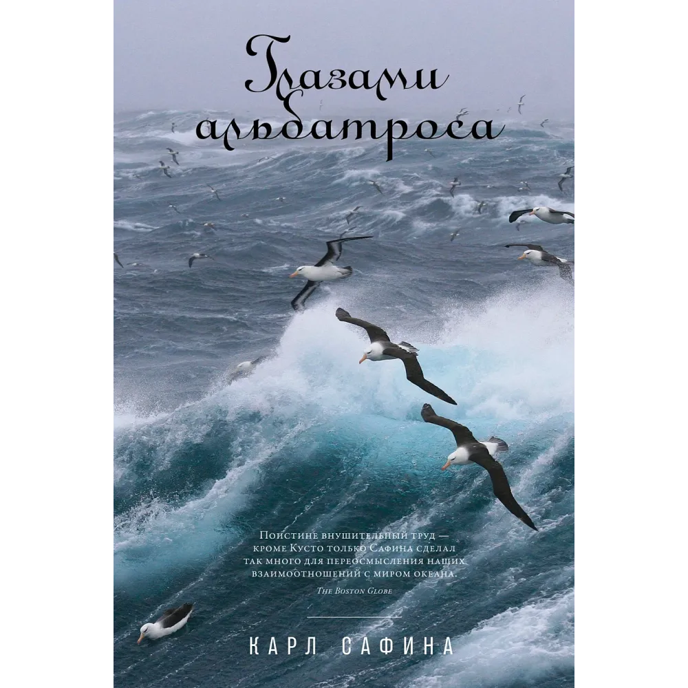 Глазами альбатроса Глазами альбатроса