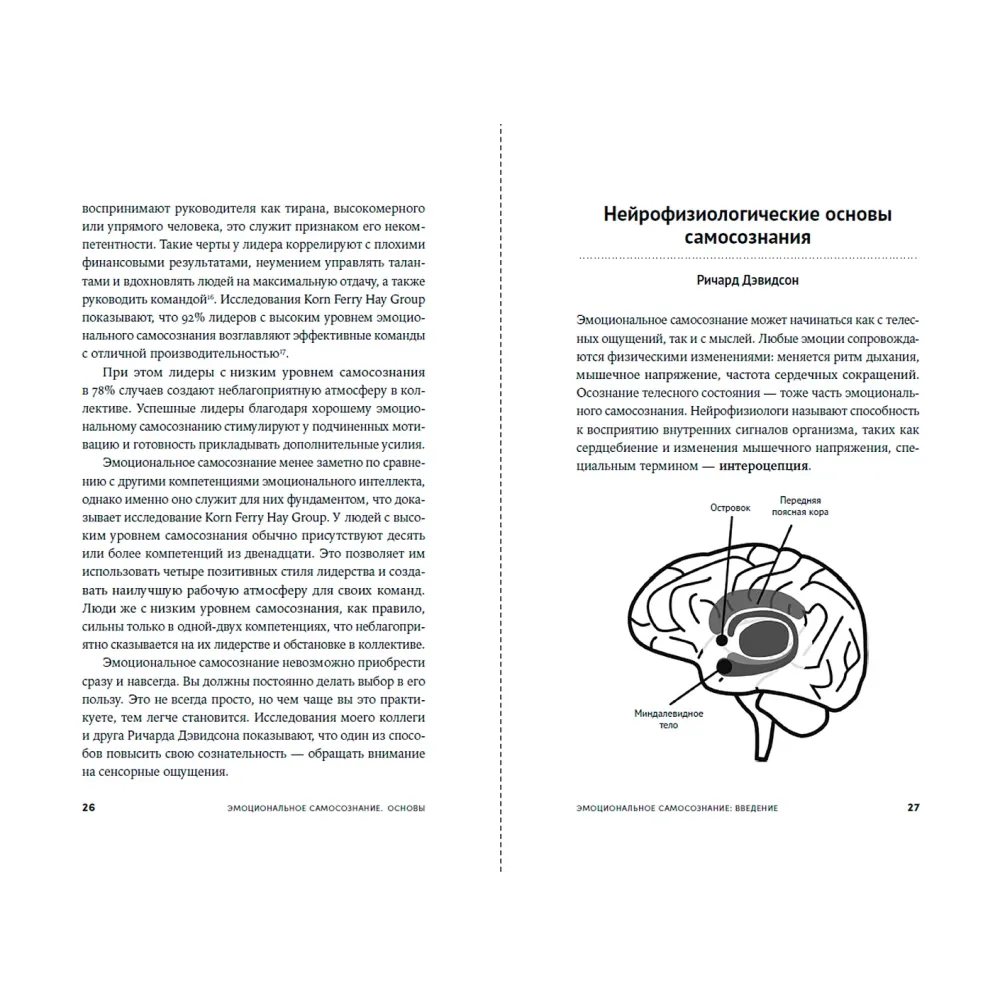 12 элементов эмоционального интеллекта