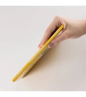 Водитель грузовика