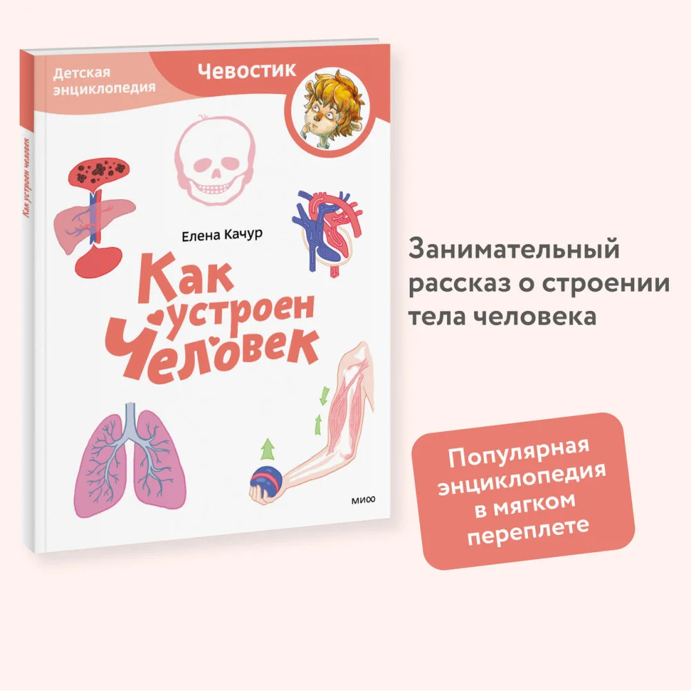 Как устроен человек. Детская энциклопедия (Чевостик) (Paperback) Как устроен человек. Детская энциклопедия (Чевостик) (Paperback)