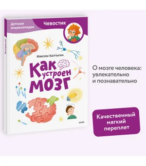 Как устроен мозг. Детская энциклопедия (Чевостик) (Paperback)
