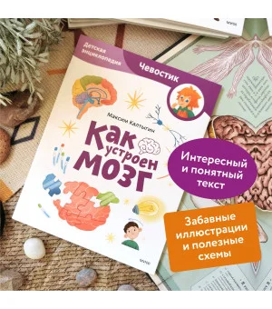 Как устроен мозг. Детская энциклопедия (Чевостик) (Paperback)