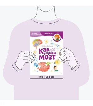 Как устроен мозг. Детская энциклопедия (Чевостик) (Paperback)