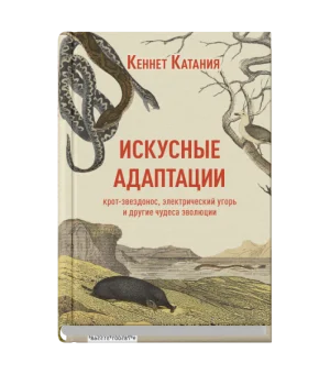 Искусные адаптации