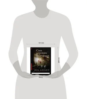 Сны деревни Динчжуан