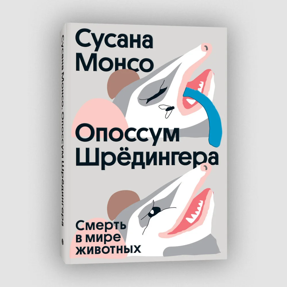 Опоссум шредингера Опоссум шредингера