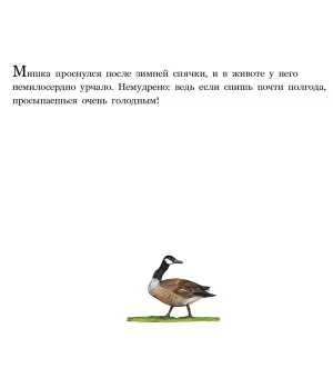 Медвежье чудо (2-е изд.)