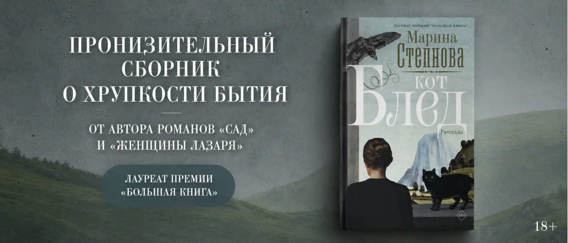 Кот Блед