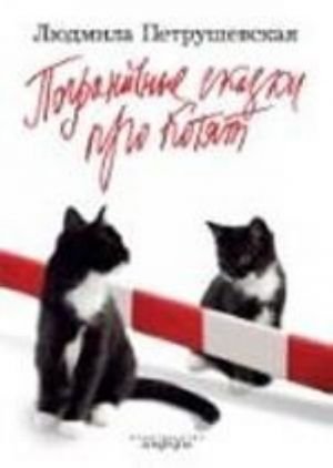 Пограничные сказки про котят