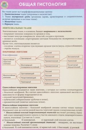 Общая гистология
