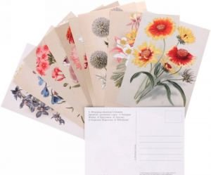 Садовые многолетники (набор из 15 открыток)