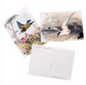 Э. Травье. Самые красивые птицы (набор из 15 открыток)