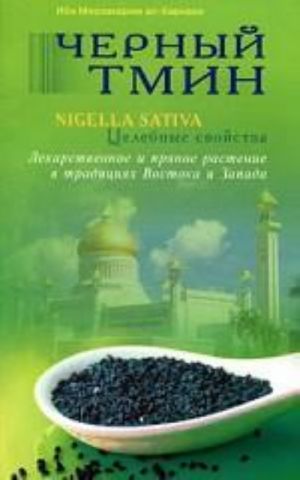Жизнеописание Царя Соломона