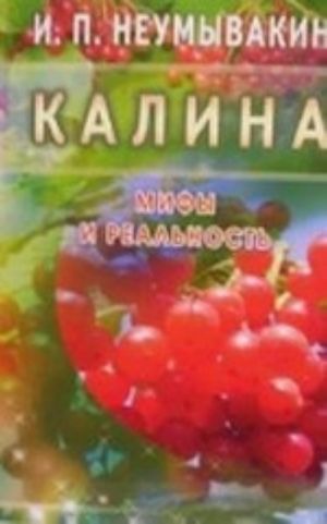 Калина. Мифы и реальность