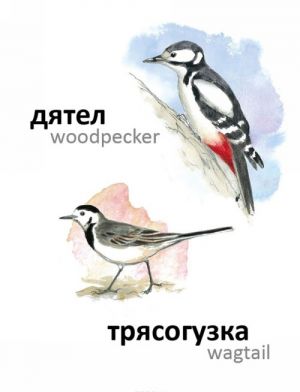Птицы