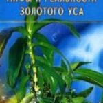 Мифы и реальность золотого уса