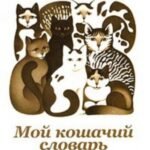 Мой кошачий словарь