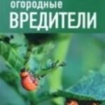 Огородные вредители